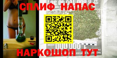 МДПВ Гатчина