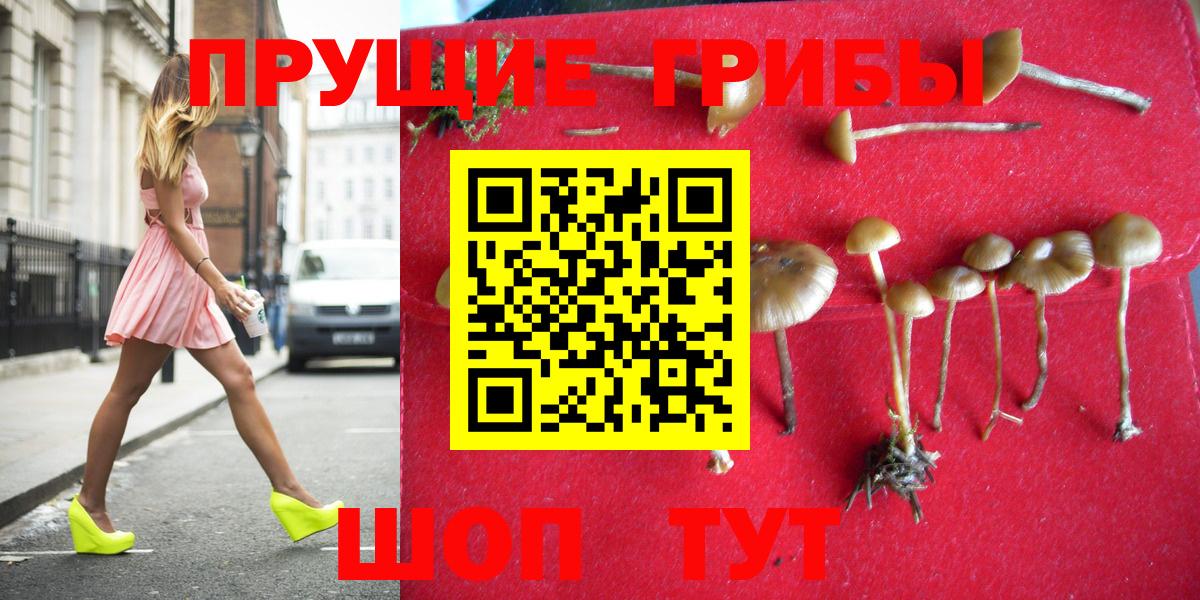 Галлюциногенные грибы Psilocybine cubensis Вышний Волочёк
