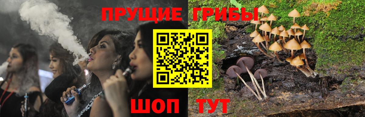 Галлюциногенные грибы Psilocybe  Вышний Волочёк 