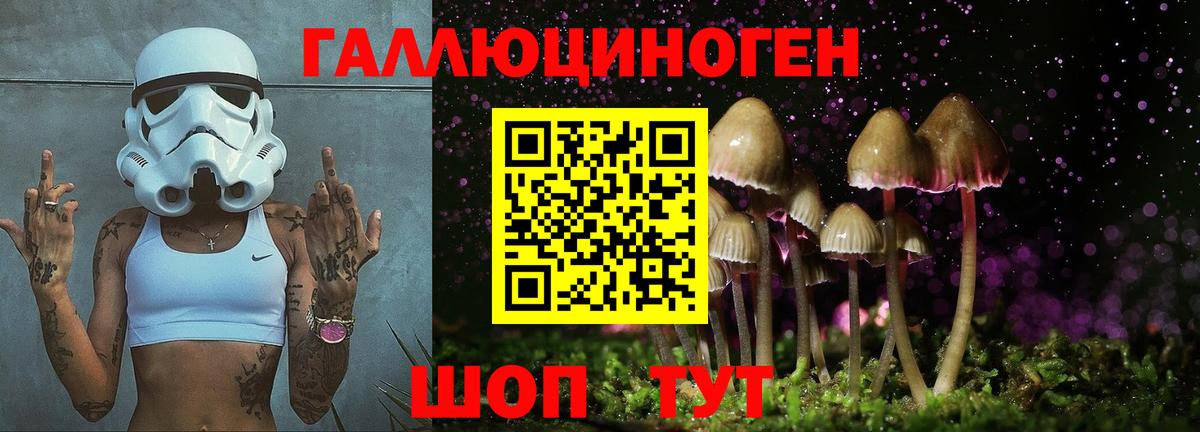 Галлюциногенные грибы мицелий  Вход с VPN  Вышний Волочёк  Галлюциногенные грибы Psilocybe 