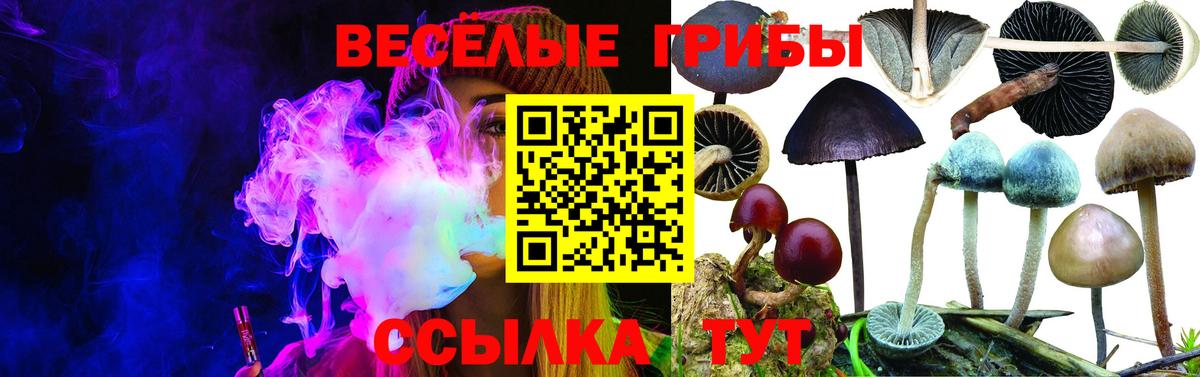 Мефедрон Вышний Волочёк